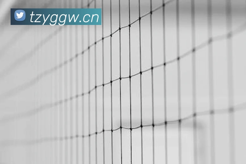 问鼎pg2.8网页版入口品牌故事